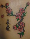 cherry blossom tattoo image